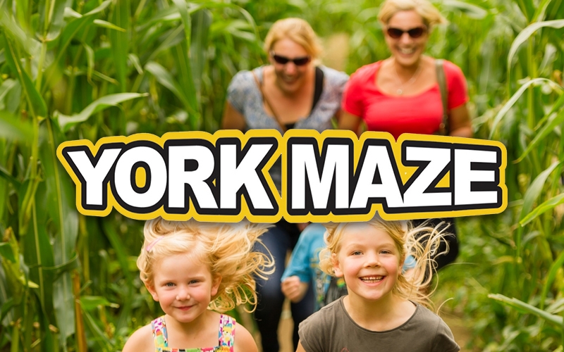 york-maze